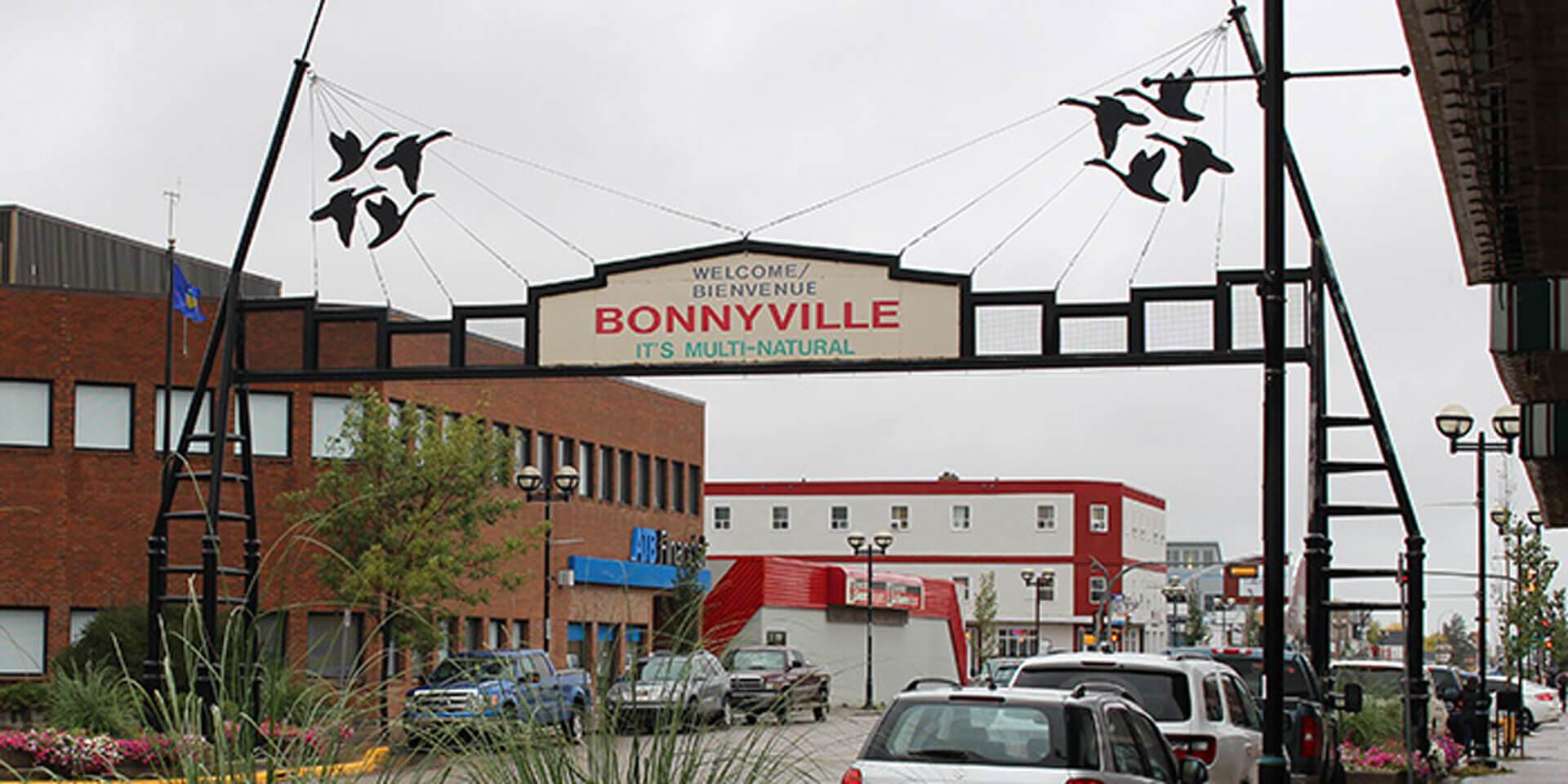 Bonnyville Web Design Company